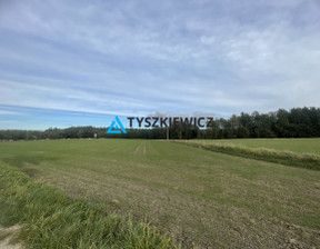 Budowlany-wielorodzinny na sprzedaż, Gdańsk Klukowo Zenitowa, 3 994 200 zł, 12 600 m2, TY677650