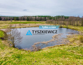 Rolny na sprzedaż, Bytowski Trzebielino Zielin, 329 450 zł, 59 900 m2, TY150497