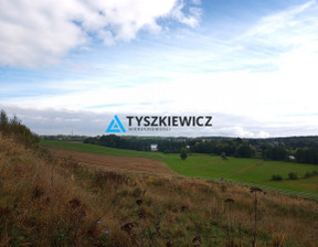 Działka na sprzedaż, Starogardzki Starogard Gdański Sucumin, 539 300 zł, 5393 m2, TY487827