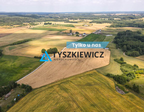 Działka na sprzedaż, Starogardzki Skarszewy Szczodrowo, 2 949 100 zł, 38 300 m2, TY765388