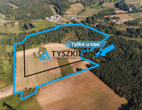 Działka na sprzedaż, Kartuski Przodkowo Załęże Kasztanowa, 240 000 zł, 3000 m2, TY943335