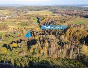 Rolny na sprzedaż, Wejherowski Wejherowo Zbychowo Leśna, 499 000 zł, 20 700 m2, TY557560