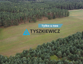 Działka na sprzedaż, Bytowski Czarna Dąbrówka Brzezinka, 200 000 zł, 35 700 m2, TY939086