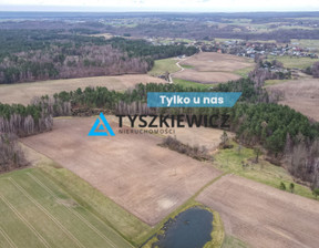 Działka na sprzedaż, Wejherowski Luzino Dąbrówka Brzozowa, 1 055 000 zł, 10 104 m2, TY735167