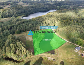 Działka na sprzedaż, Gdański Trąbki Wielkie Mierzeszyn, 690 000 zł, 12 301 m2, TY258497