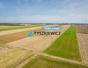 Działka na sprzedaż, Słupski Damnica Stara Dąbrowa, 1 500 000 zł, 60 000 m2, TY572403