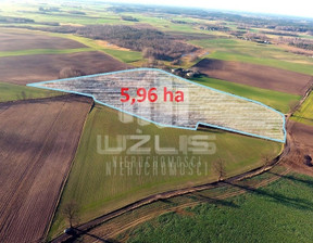 Działka na sprzedaż, Starogardzki Lubichowo Budy, 650 000 zł, 59 600 m2, 1757/9862/OGS