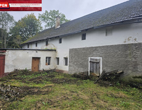 Dom na sprzedaż, Kłodzki Bystrzyca Kłodzka Pławnica, 199 000 zł, 500 m2, 147/14930/ODS