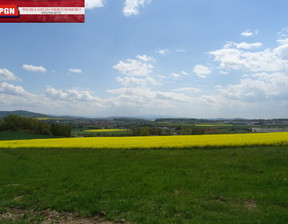 Działka na sprzedaż, Kłodzki Kłodzko, 199 000 zł, 2900 m2, 315/14930/OGS