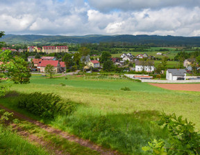 Budowlany-wielorodzinny na sprzedaż, Kamiennogórski Kamienna Góra Olszyny, 250 000 zł, 2900 m2, 304287