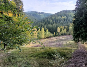 Budowlany-wielorodzinny na sprzedaż, Jeleniogórski Kowary Podgórze Podgórze, 1 450 000 zł, 15 330 m2, 806882028