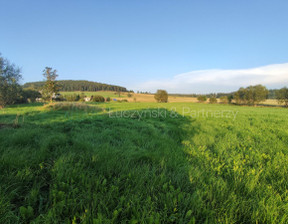 Działka na sprzedaż, Kamiennogórski Kamienna Góra Raszów, 499 000 zł, 10 020 m2, 851973