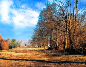 Działka na sprzedaż, Grodziski Grodzisk Mazowiecki Makówka, 1 200 000 zł, 11 950 m2, 4110/6166/OGS