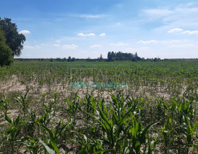 Działka na sprzedaż, Grodziski Grodzisk Mazowiecki, 5 800 000 zł, 58 000 m2, 3502/6166/OGS