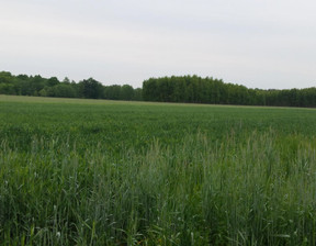 Działka na sprzedaż, Wrocławski Długołęka Byków, 300 000 zł, 3000 m2, 1517