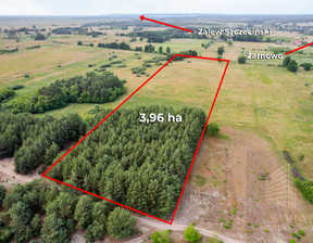 Rolny na sprzedaż, Goleniowski Stepnica Żarnówko, 350 000 zł, 39 626 m2, SWN30992