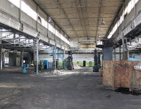 Fabryka, zakład do wynajęcia, Poznań Nowe Miasto Nieszawska, 42 360 zł, 3530 m2, 19310885