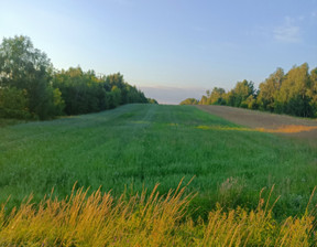 Działka na sprzedaż, łódzkie bełchatowski Zelów Kolonia Łobudzice, 160 000 zł, 0 m2, gratka-38234039