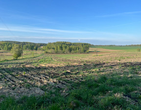 Działka na sprzedaż, dolnośląskie zgorzelecki Zgorzelec Białogórze, 115 000 zł, 1380 m2, gratka-38844185