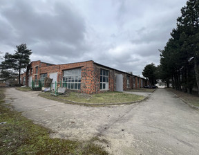 Magazyn do wynajęcia, wielkopolskie jarociński Jarocin Jarocin, 13 zł, 4300 m2, gratka-38373669