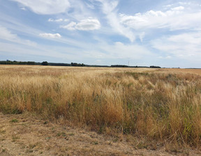 Działka na sprzedaż, dolnośląskie polkowicki Radwanice Łagoszów Wielki, 1 660 500 zł, 56 800 m2, gratka-34649657