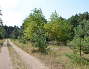 Działka na sprzedaż, wielkopolskie czarnkowsko-trzcianecki Wieleń Wieleń, 320 000 zł, 20 314 m2, gratka-32721115