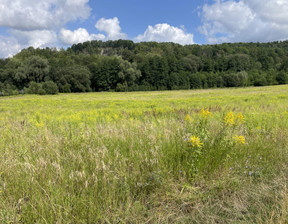 Działka na sprzedaż, dolnośląskie złotoryjski Wojcieszów Wojcieszów, 7 000 000 zł, 1 490 000 m2, gratka-35345147