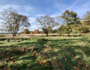 Działka na sprzedaż, wielkopolskie międzychodzki Międzychód Drzewce, 125 000 zł, 1900 m2, gratka-34094175