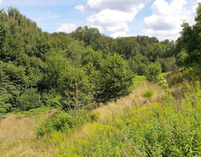 Działka na sprzedaż, śląskie Zabrze Pawłów Gen. Władysława Sikorskiego, 750 000 zł, 1155 m2, gratka-36860745