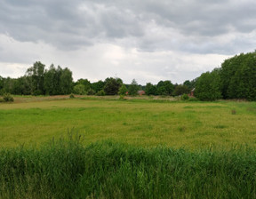 Działka na sprzedaż, dolnośląskie milicki Krośnice Dąbrowa, 86 000 zł, 1400 m2, gratka-21781203