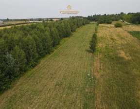 Działka na sprzedaż, Grójecki Nowe Miasto Nad Pilicą Pobiedna, 340 000 zł, 9806 m2, ZON-GS-203