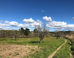 Działka na sprzedaż, Portugalia Pombal, 20 094 dolar (76 960 zł), 6852 m2, 96119658