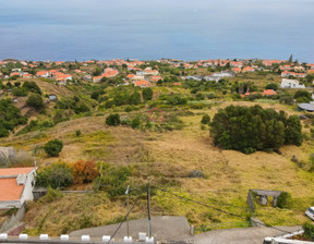 Działka na sprzedaż, Portugalia Gaula, 190 249 dolar (728 653 zł), 2790 m2, 76433642