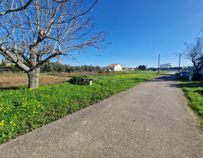 Działka na sprzedaż, Portugalia Amoreira Da Gândara, Paredes Do Bairro E Ancas, 61 443 dolar (235 942 zł), 4939 m2, 96126275