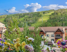 Mieszkanie na sprzedaż, Usa Vail 635 Lionshead Place , 4 395 000 dolar (17 975 550 zł), 126,35 m2, 99421401