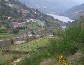 Działka na sprzedaż, Portugalia Marco De Canaveses Penha Longa e Paços de Gaiolo, 355 910 dolar (1 366 695 zł), 55 500 m2, 92258437