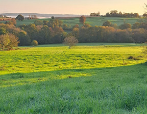 Działka na sprzedaż, Francja Oueilloux, 47 482 dolar (194 200 zł), 1466 m2, 102010843