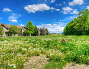 Działka na sprzedaż, Usa Bozeman TBD Warbler Way, Gallatin County, MT, 825 000 dolar (3 159 750 zł), 1821,09 m2, 94757101