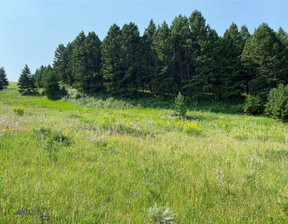 Działka na sprzedaż, Usa Livingston TBD Moose Meadows Road, Park County, MT, 395 000 dolar (1 512 850 zł), 80 127,76 m2, 99276430