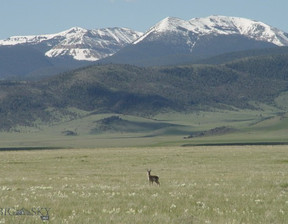 Działka na sprzedaż, Usa Cameron Lot 108 Holding Pen, Madison County, MT, 265 000 dolar (1 083 850 zł), 83 972,27 m2, 90166340