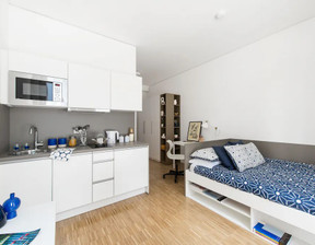 Mieszkanie do wynajęcia, Niemcy Frankfurt Am Main Mainzer Landstraße, 984 dolar (4113 zł), 19 m2, 95745409