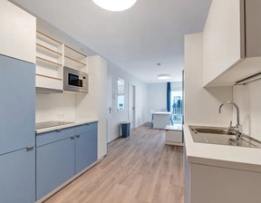 Kawalerka do wynajęcia, Niemcy Berlin Rathenaustraße, 750 dolar (3068 zł), 89 m2, 102170927