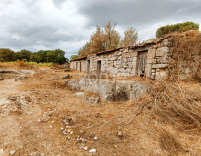 Działka na sprzedaż, Portugalia Carregal Do Sal, 27 929 dolar (107 246 zł), 7480 m2, 71656223