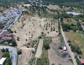 Działka na sprzedaż, Portugalia Santiago Do Cacém SÃO DOMINGOS, 292 450 dolar (1 123 009 zł), 24 665 m2, 72557114