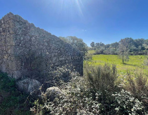 Działka na sprzedaż, Portugalia Ninho Do Açor E Sobral Do Campo, 27 824 dolar (106 567 zł), 5800 m2, 96117926