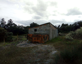 Działka na sprzedaż, Portugalia Salgueiro Do Campo, 41 736 dolar (159 851 zł), 16 400 m2, 96124273