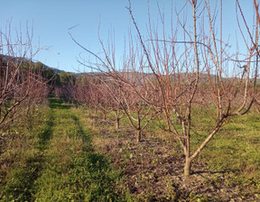 Działka na sprzedaż, Portugalia Fundao, 78 643 dolar (302 776 zł), 15 000 m2, 96129411