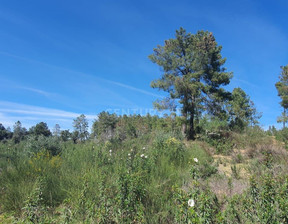 Działka na sprzedaż, Portugalia Salgueiro Do Campo, 18 364 dolar (70 334 zł), 11 000 m2, 96121554