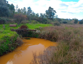 Działka na sprzedaż, Portugalia Salgueiro Do Campo, 47 301 dolar (181 164 zł), 38 680 m2, 96122764