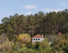 Dom na sprzedaż, Portugalia Pombal, 52 185 dolar (210 306 zł), 53,4 m2, 97763236